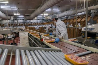 Muslim woman workers working in a chicken meat plant