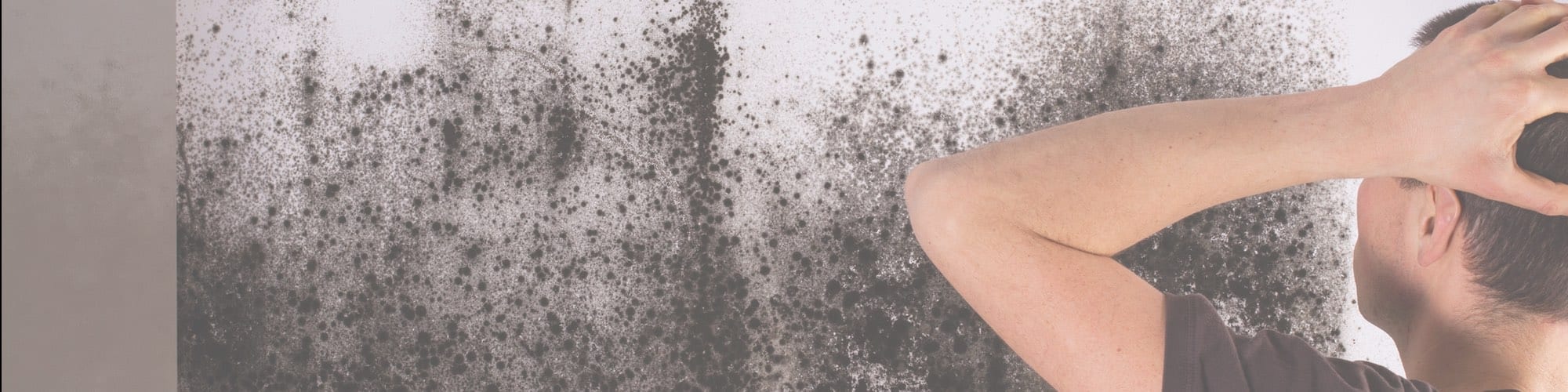Where Does Indoor Mold Come From?