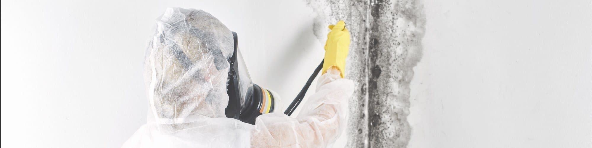 Cleaning Mold - Mold Control Information Series – Article #5